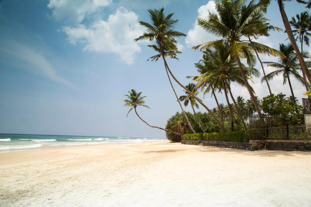 Tabula Rasa Resort & Spa photo