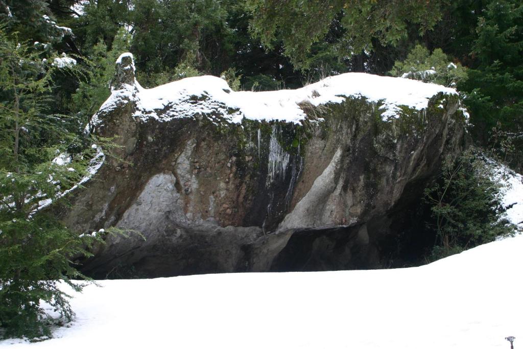 편의 시설/서비스
