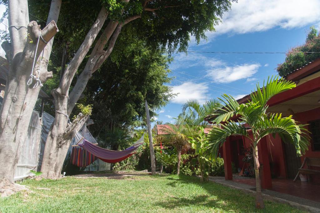 Zoola San Pedro Atitlan photo