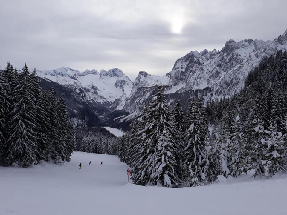Dachstein view ski apartment - 5