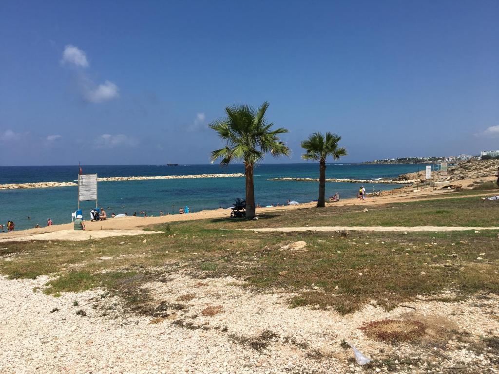 Diamond Complex, Pafos