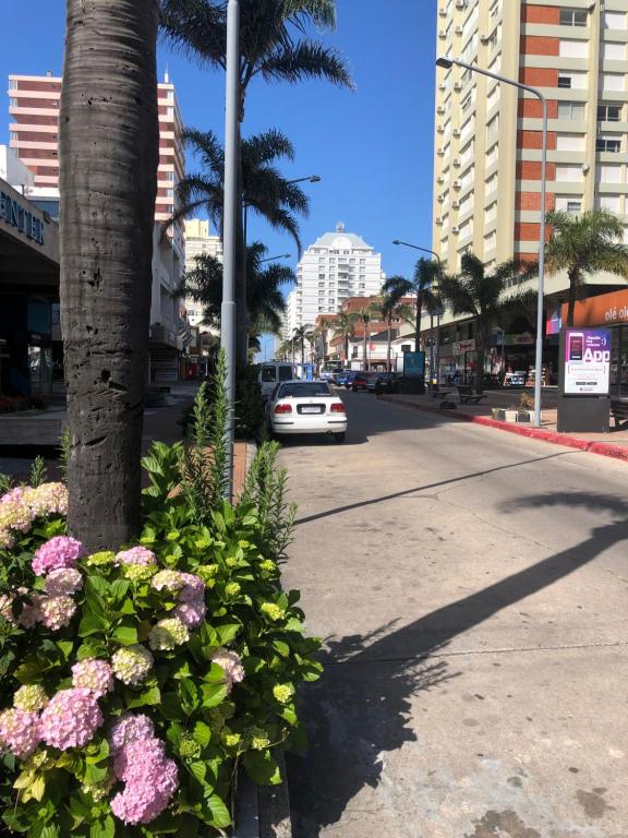 Punta del Este Lux Tower - 4