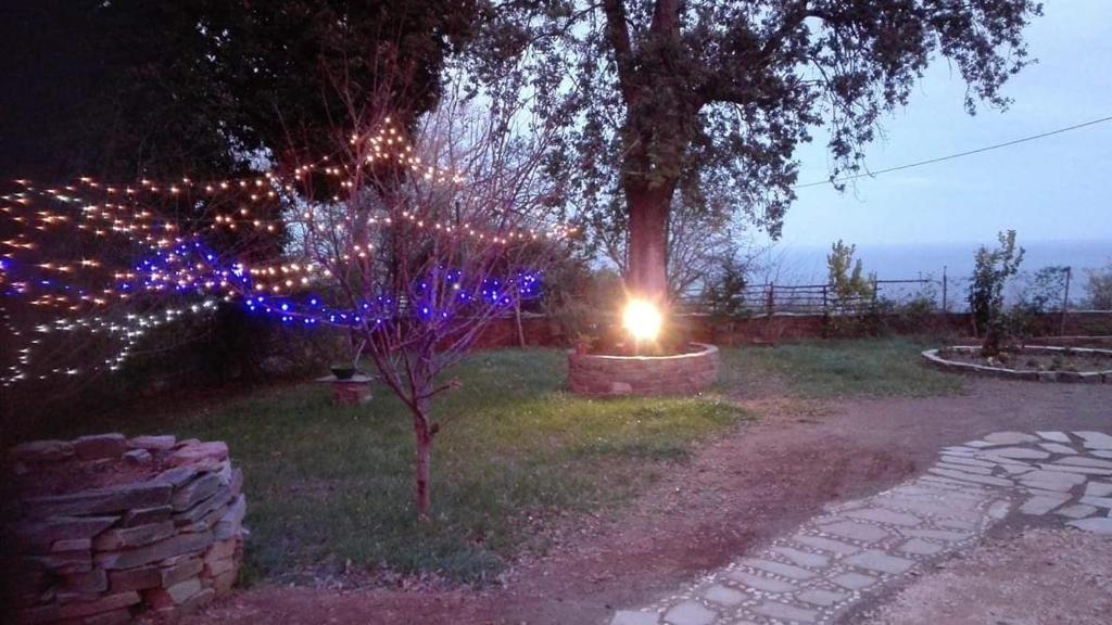 Spiros Apartments Pelion photo