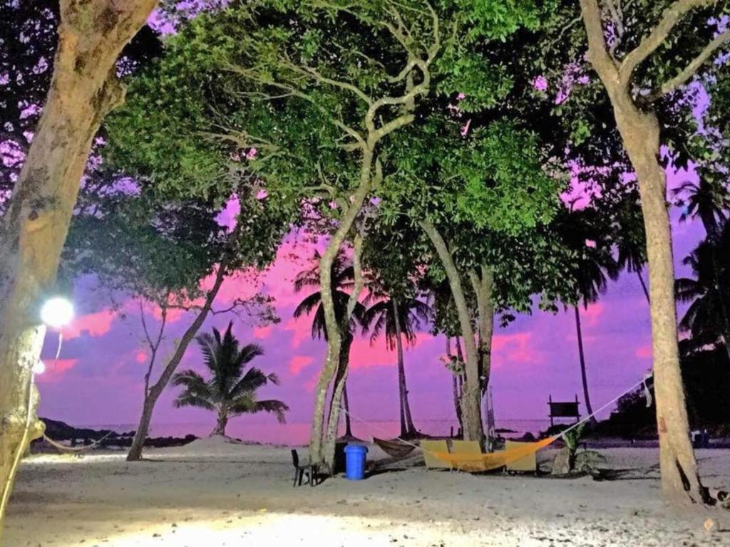 Surrounding environment