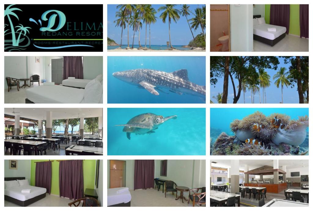 Facilities