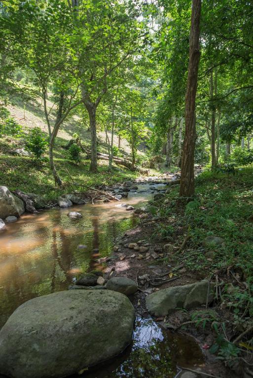 สภาพแวดล้อมโดยรอบ