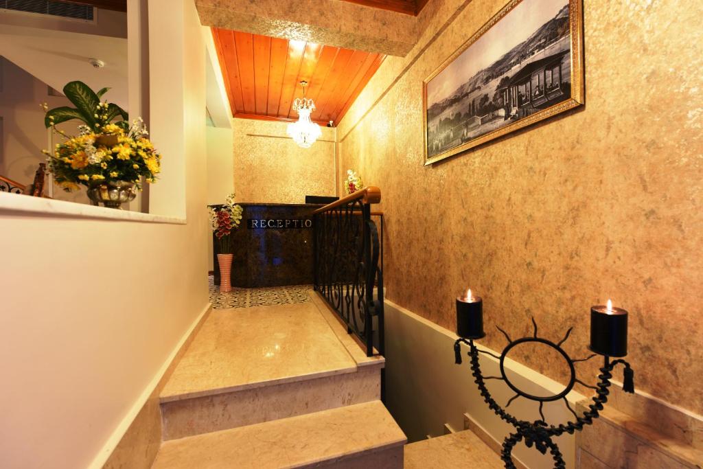 Elyka Hotel photo