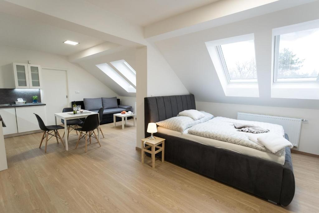 Haas Apartments Horova with Parking — Hotel in Brno