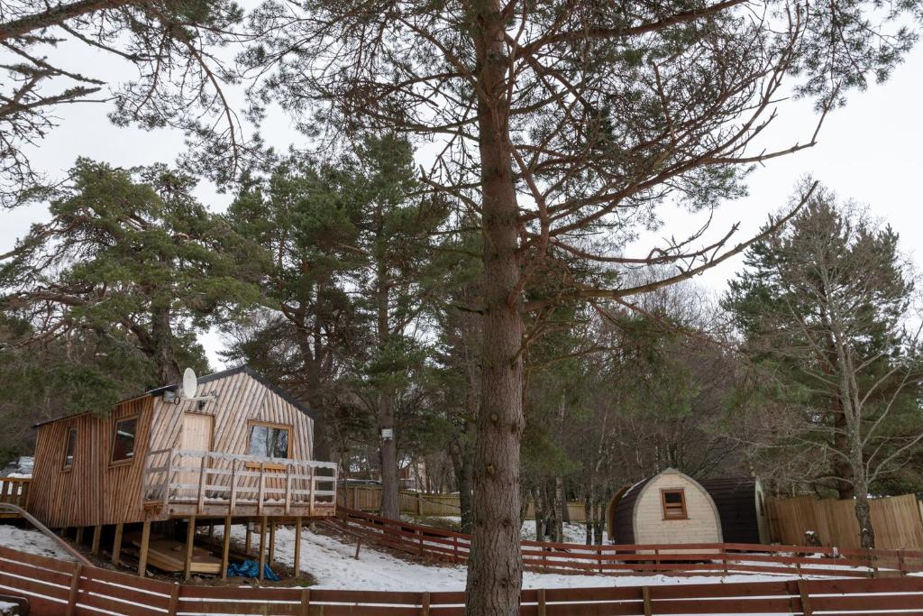 Pine Marten Bar Glenmore Treehouse photo