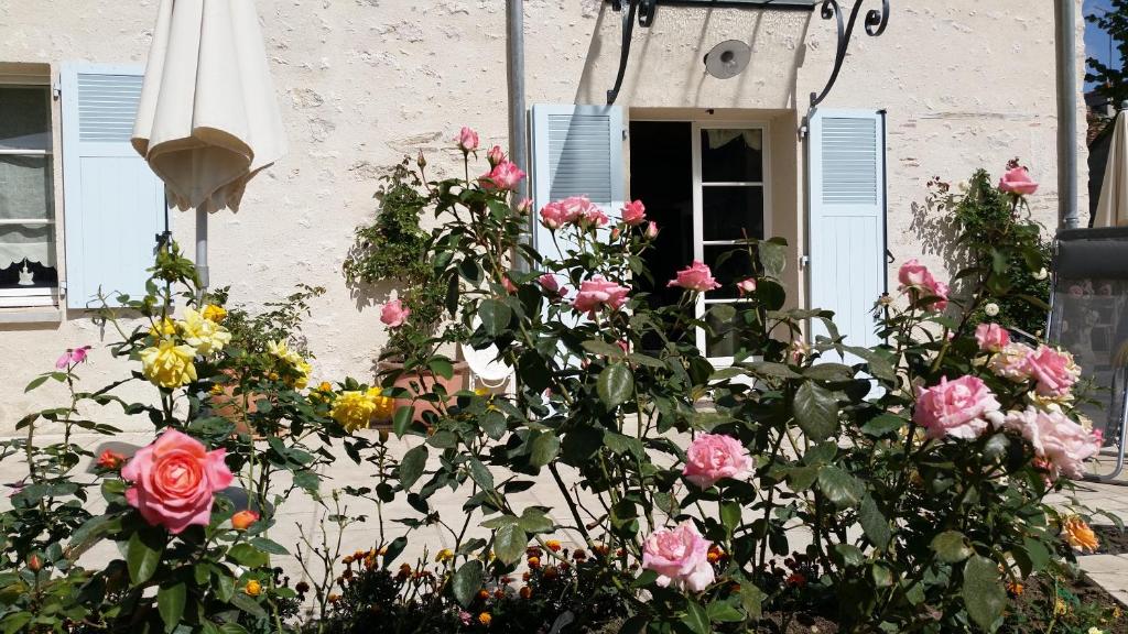 Chambre d'hote Montlivault / Chambord — Hotel in Montlivault