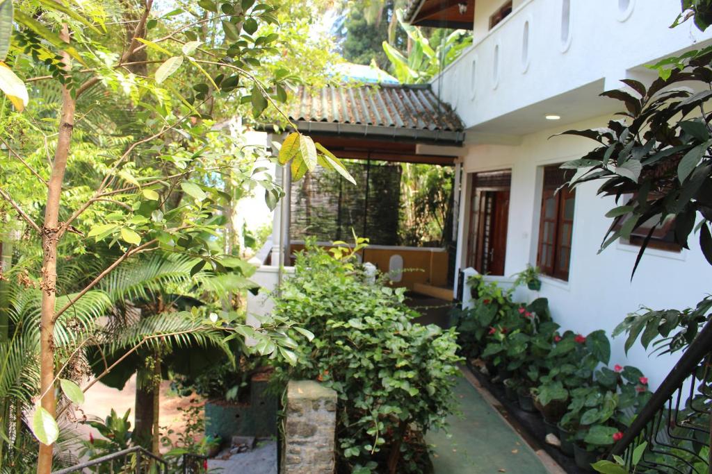 Alex Home Stay — Hotel in Kandy