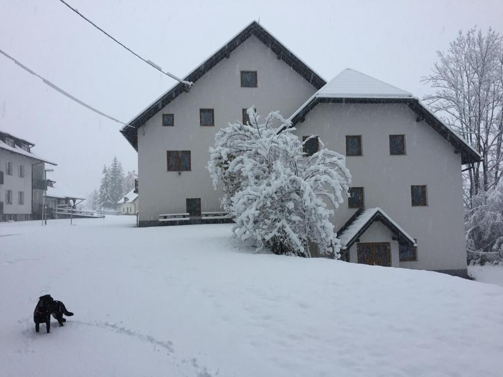 Youth Hostel Nika photo