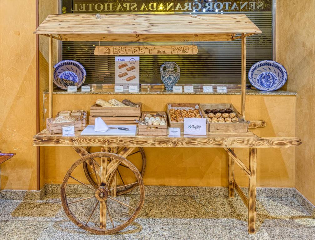 Senator Granada Spa Hotel Photo 22