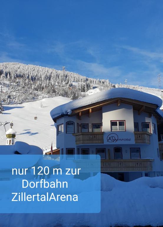 alpenrose hotel-garni - 1