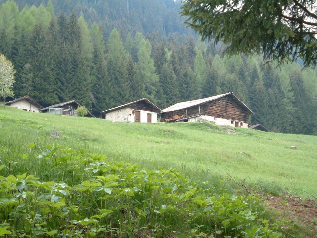 Chalet Nel Doch - 2