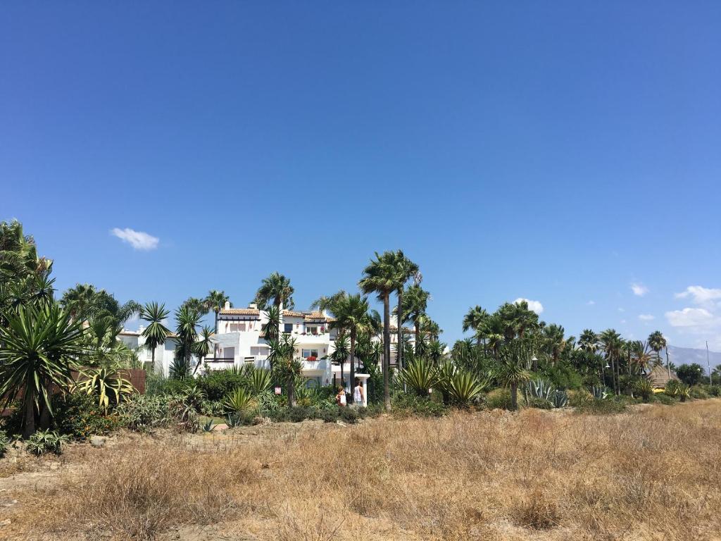 Costalita beach - 5