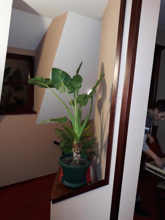 Guesthouse "Kod Cileta" photo