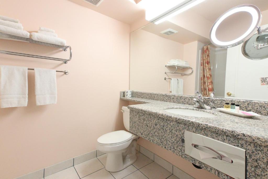 Crystal Star Inn Edmonton Airport with free shuttle to and from Airport photo