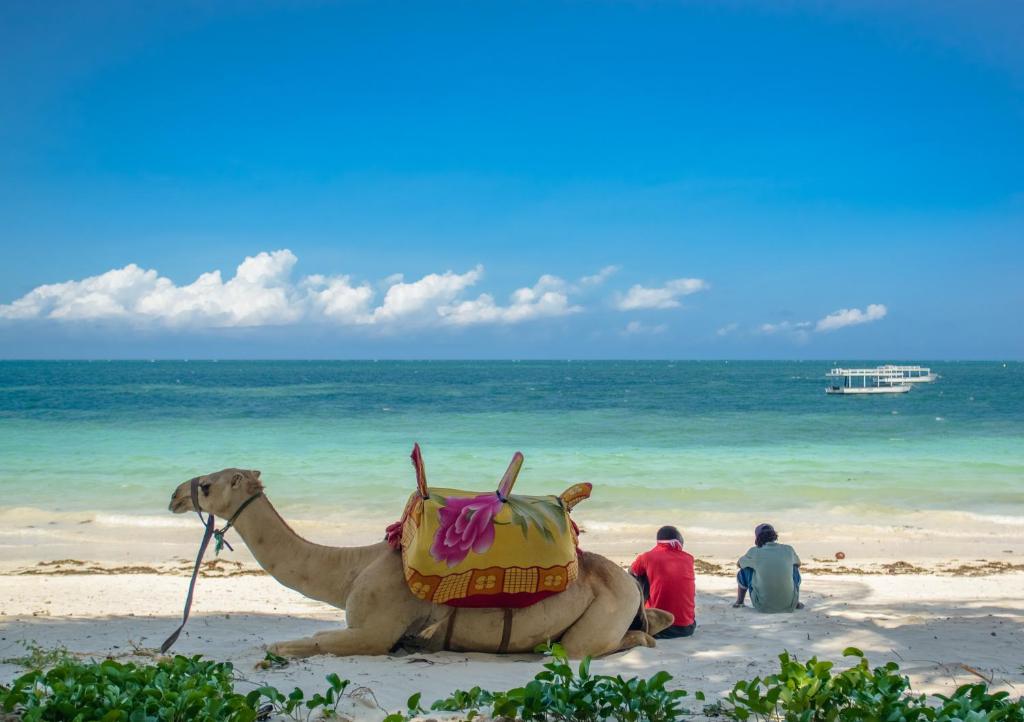 サロバ ホワイトサンズ ビーチ リゾート&スパ - Location image