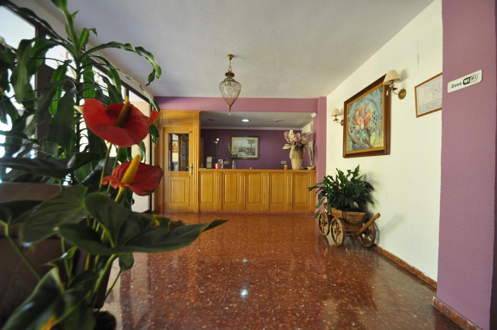 Hotel Goya photo
