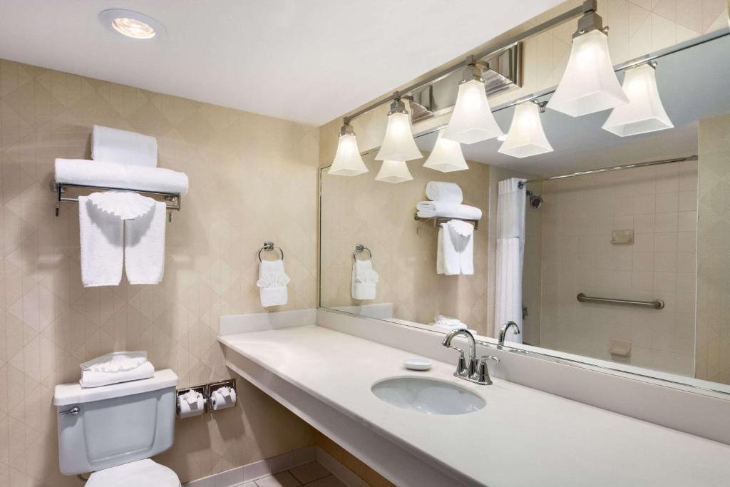 Wyndham Garden Dallas North Photo 14