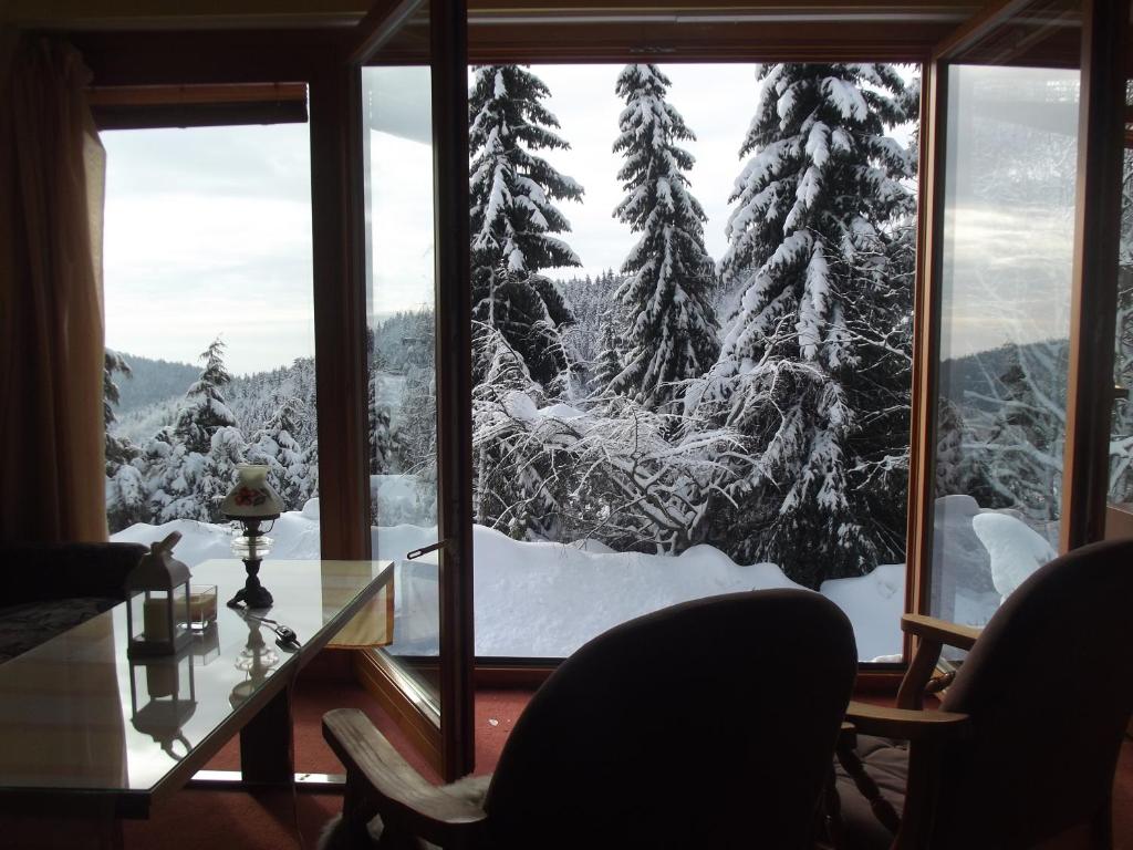 Chata s výhledem, Jáchymov