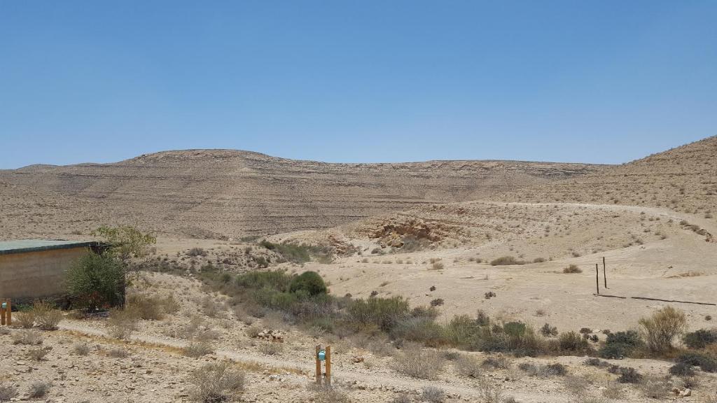Surrounding environment