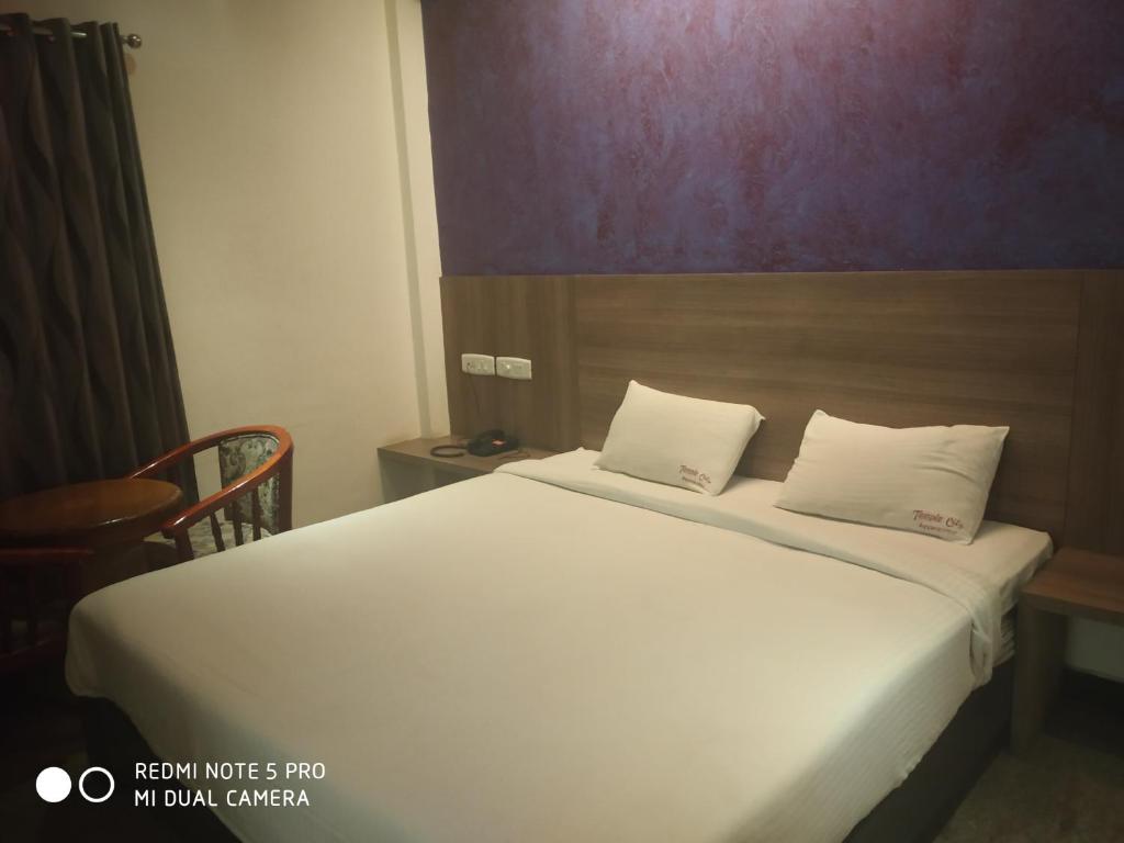 Temple City Hotels India Pvt. Ltd photo