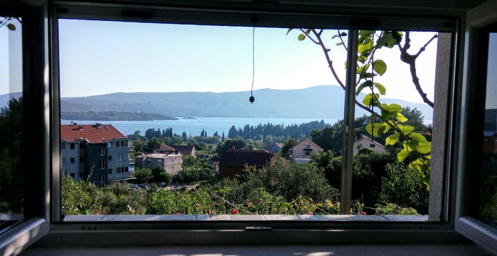 Apartmani Bosco photo