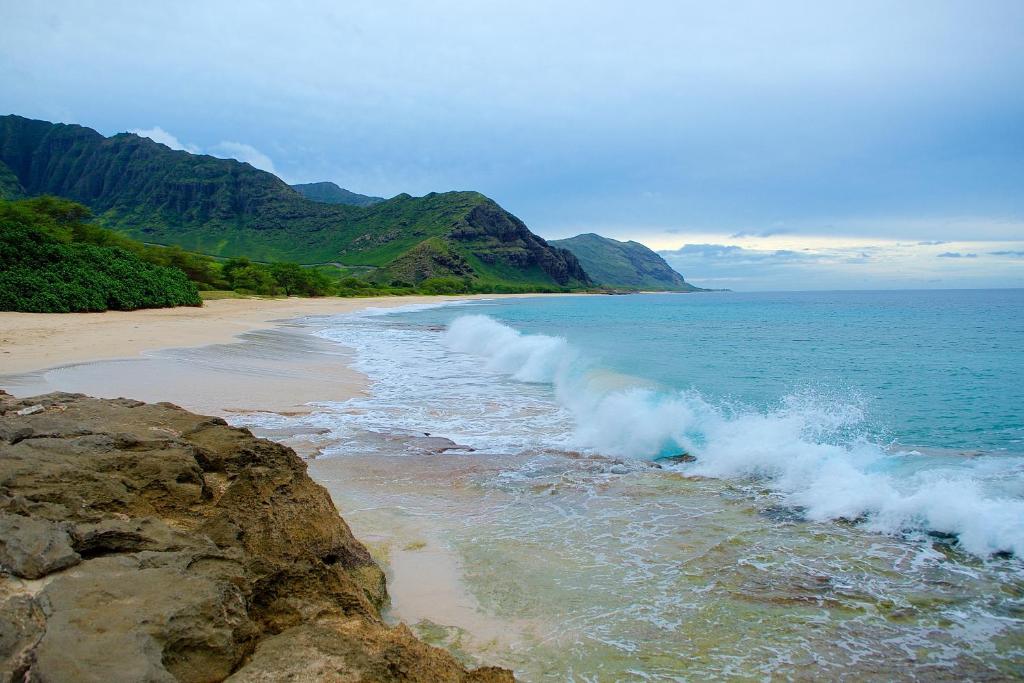 SeaShore 62 photo