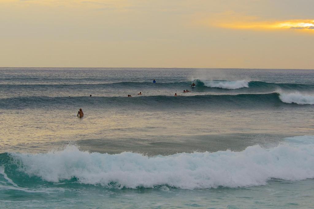 SeaShore 62 photo