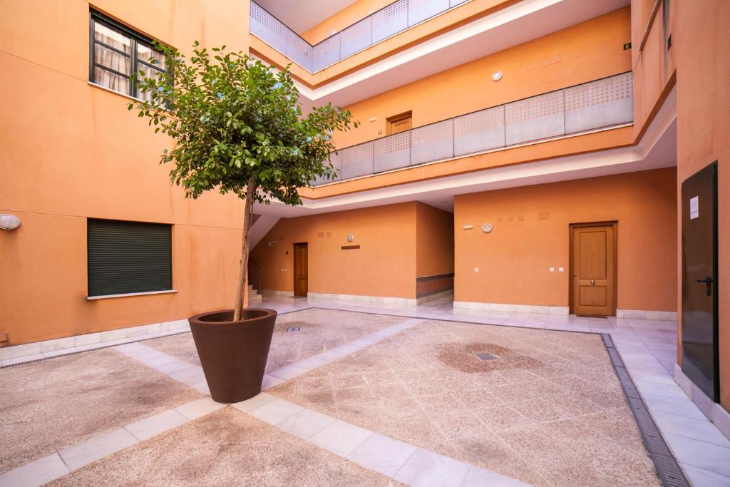 AlohaMundi Zaragoza photo