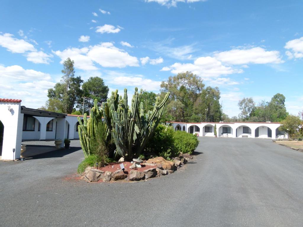 Azalea Motel photo