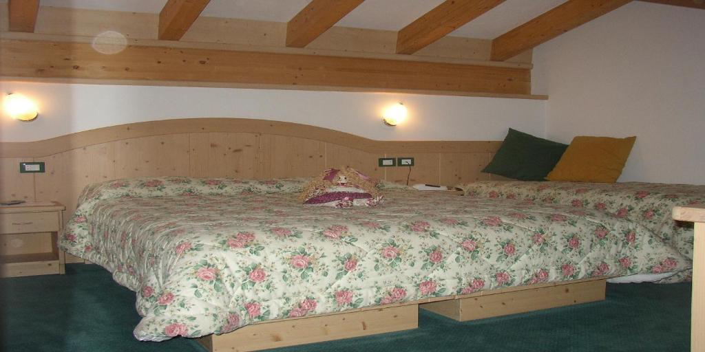 DOLOMITI appart&rooms - 5