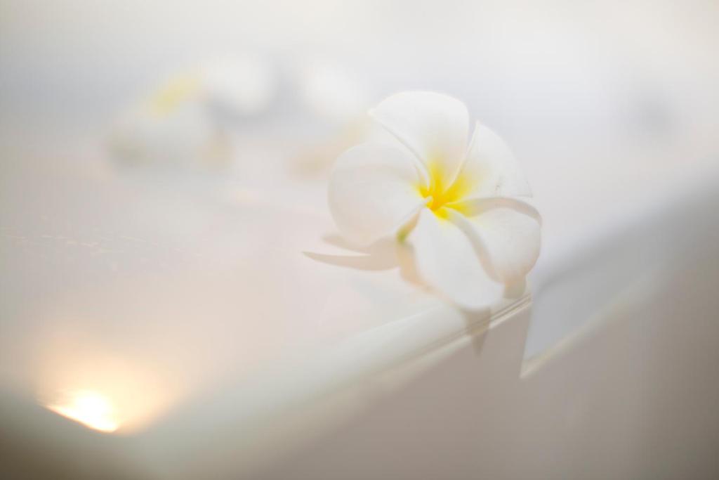 บริการและสิ่งอำนวยความสะดวก