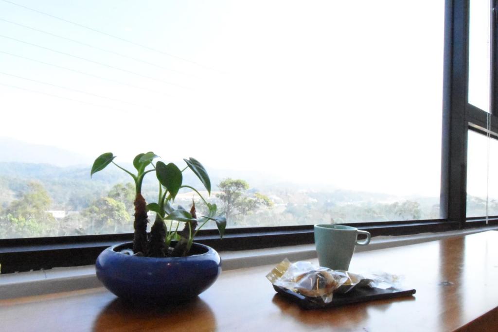 巨缿民宿 photo