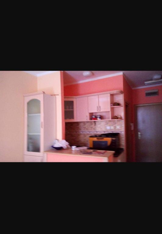 Apartman S, Palisad