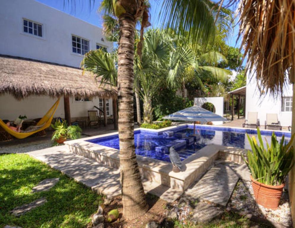 Villa Escondida Guest House Cozumel Downtown - 1