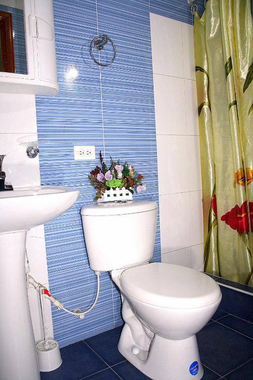 Hostel Casa Alb photo
