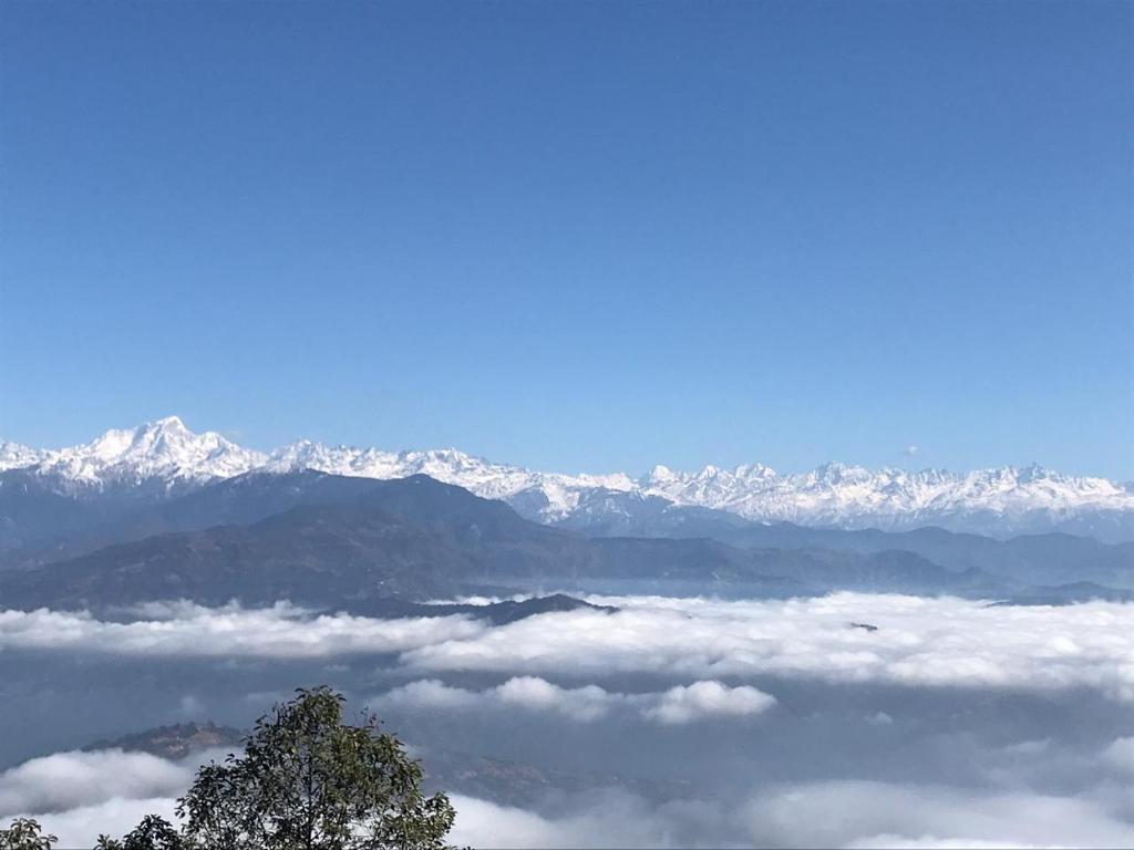 View