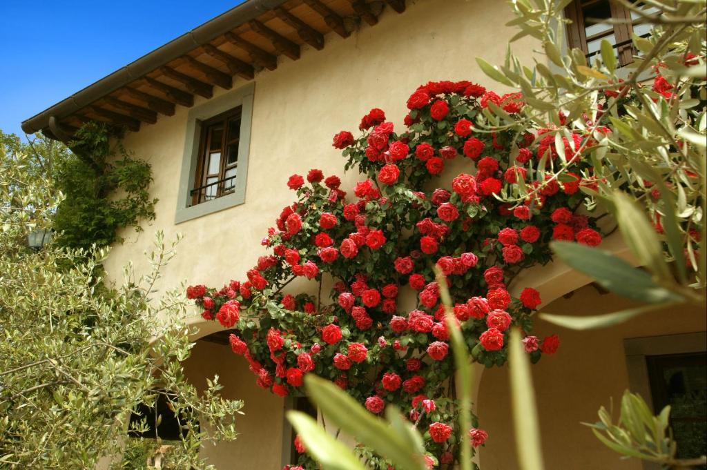 Apartments Monsignor Della Casa — Hotel in Borgo San Lorenzo