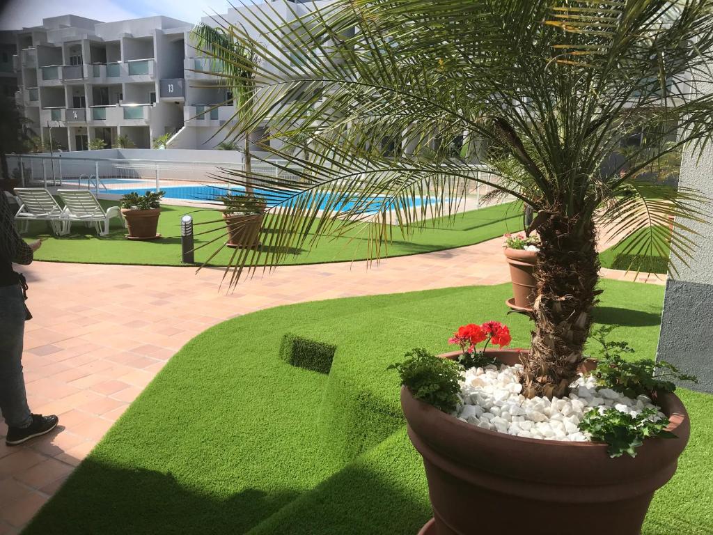 Nice and sunny apartment — Hotel in Fuerteventura