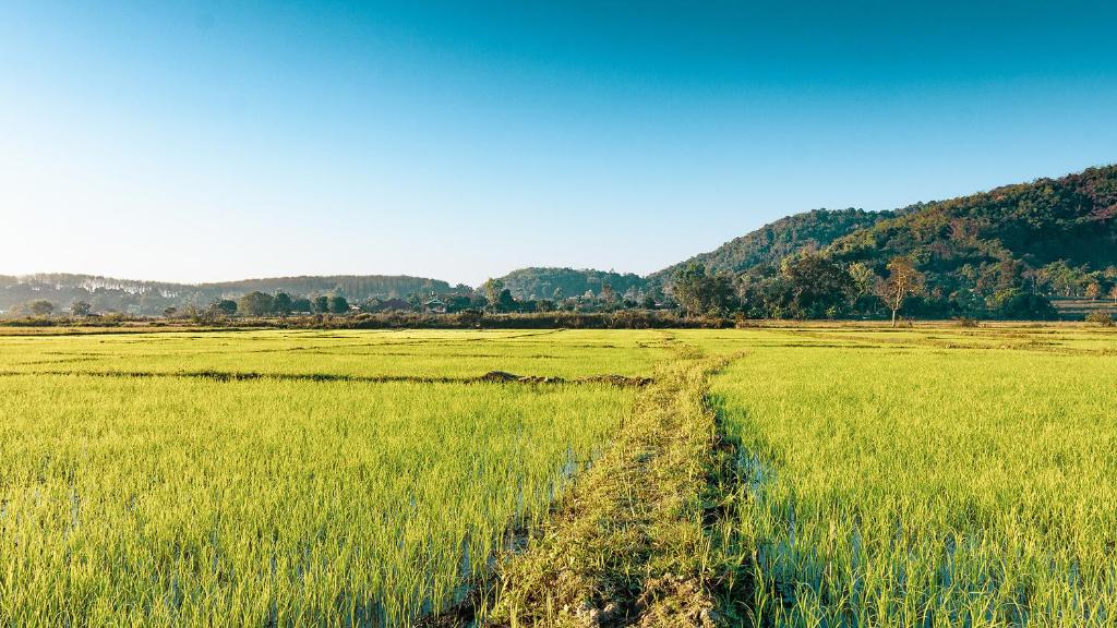 Surrounding environment