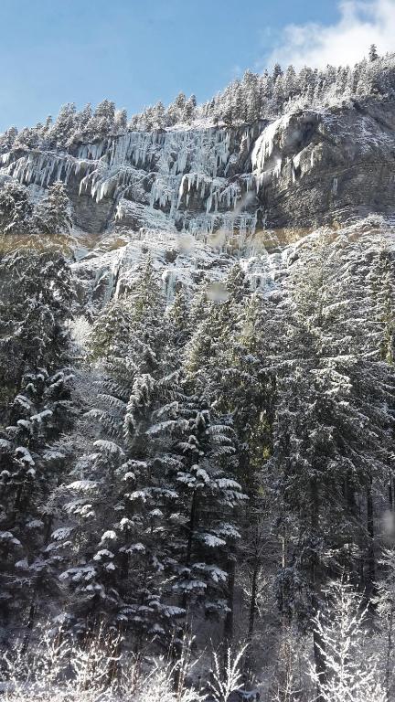 Surrounding environment