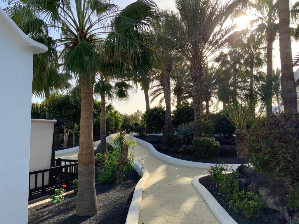 Villa Oasis - 4