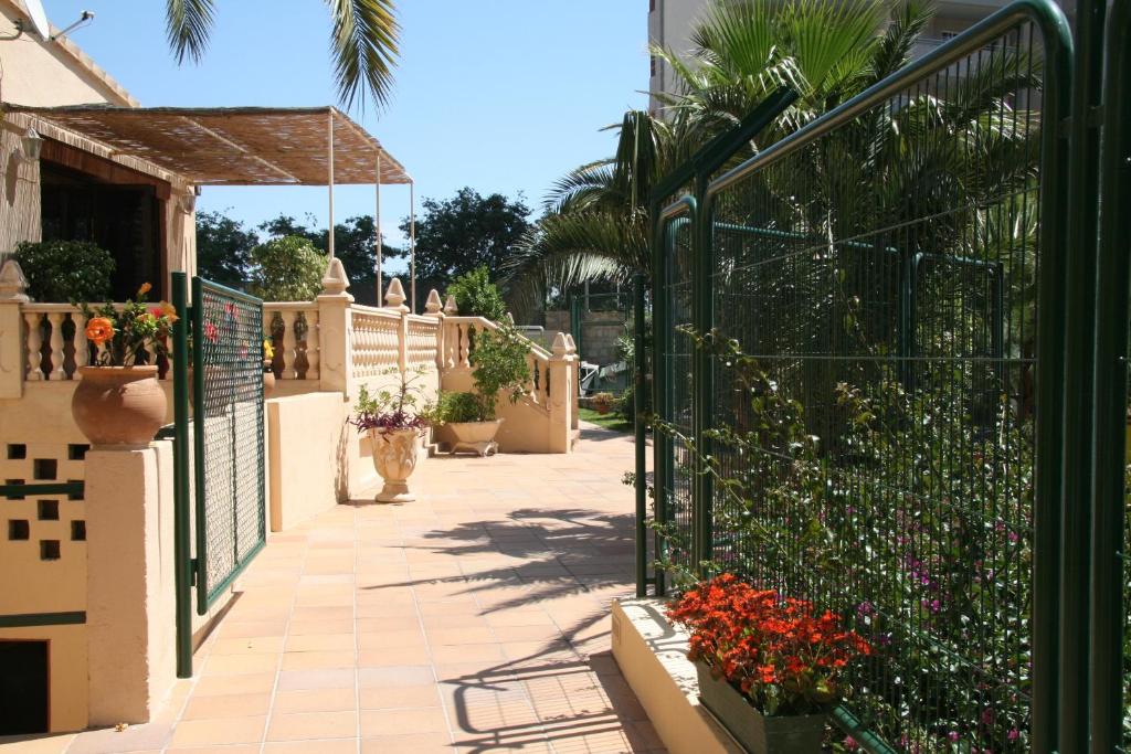 Apartamentos Palm Court — Attractions in the area in Benidorm, Valencian Community
