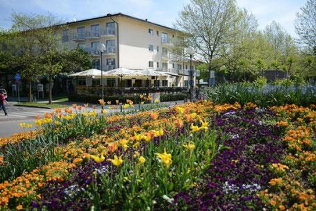 Hotels In Bad Fussing City Center Germany Price From 65