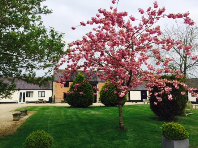Orchard Cottage, Shaftesbury photo 8