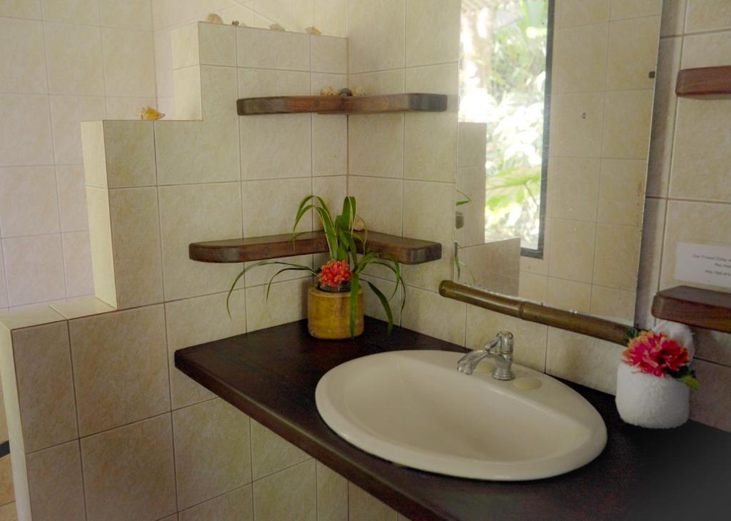Amazonita Ecolodge photo