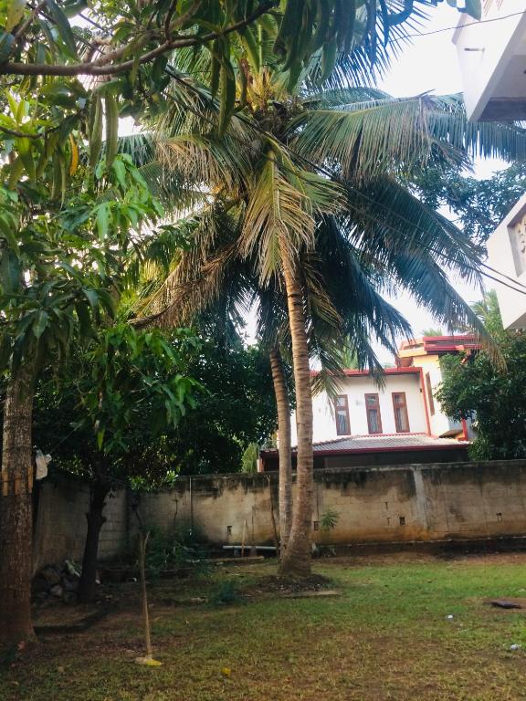 Hamba Hostel for Safari photo